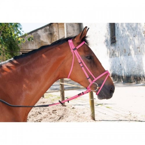 Biotack hoofdstel TdeT Biotack hoofdstel TdeT