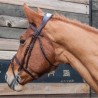 Bridon Manet mit Stirnband TdeT