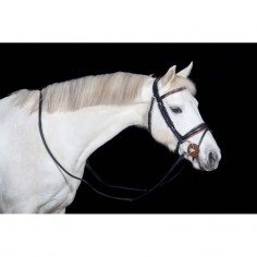 Cabezada Matisse TdeT