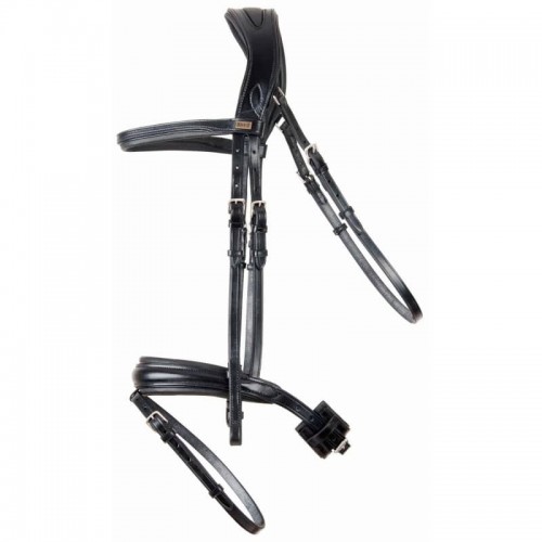 Hoofdstel Matisse TdeT