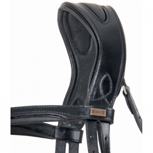 Hoofdstel Matisse TdeT