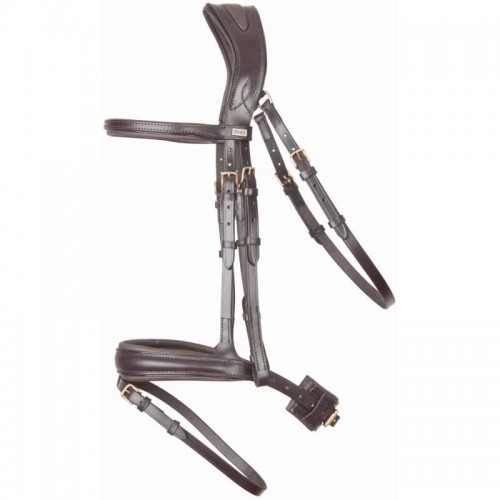 Hoofdstel Matisse TdeT