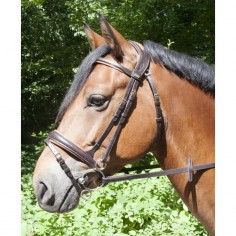 Hoofdstel Matisse TdeT