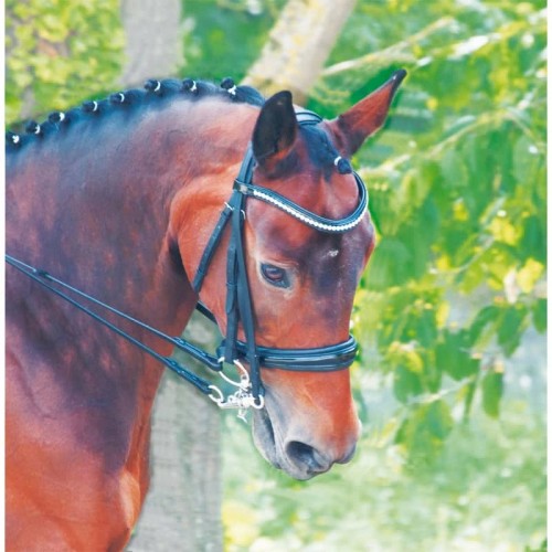 Braut Cézanne TdeT Braut Cézanne TdeT