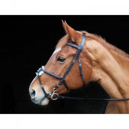 Bridle Sisley con imboccatura...