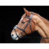 Bridle Sisley con imboccatura incrociata TdeT