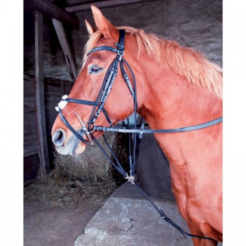 Klassieke gogue TdeT