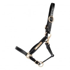 Cabestro de cuero con placa TdeT