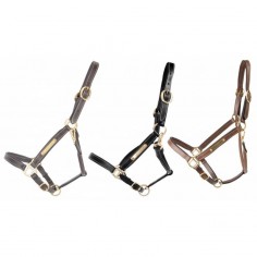 Licol cuir avec plaque TdeT