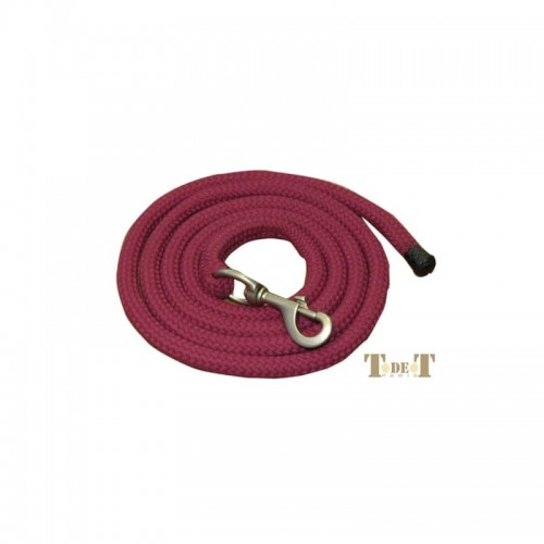 Longe chuchoteur TdeT Longe chuchoteur TdeT