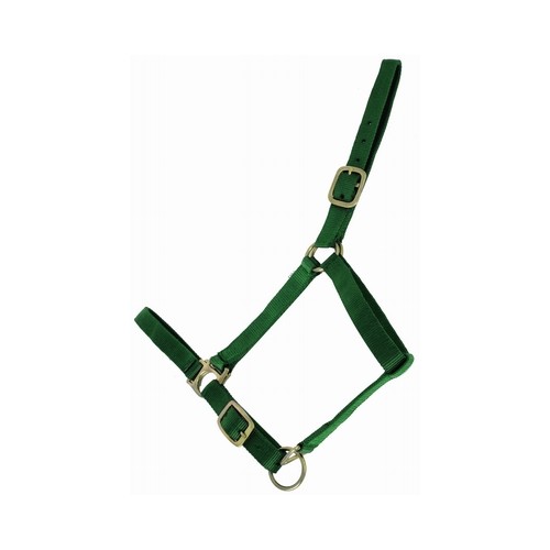 Halfter gefüttert Wildleder TdeT