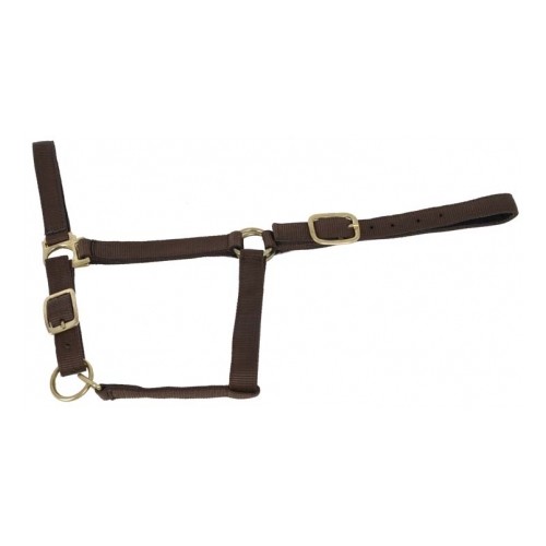 Cabestro forrado de ante TdeT