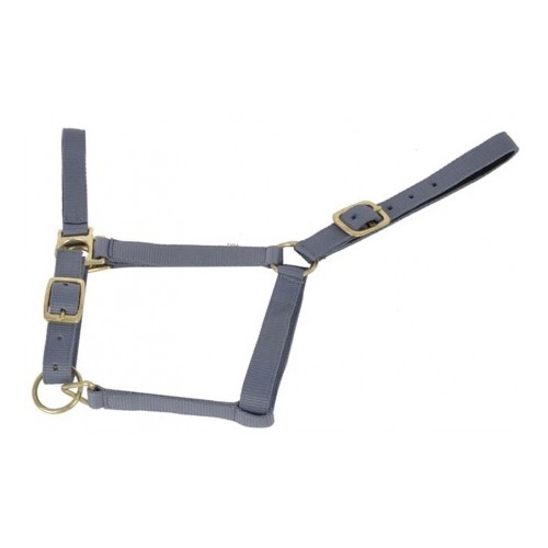 Cabestro forrado de ante TdeT