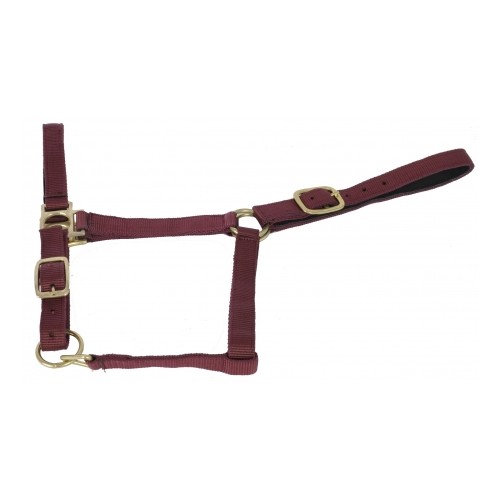 Halfter gefüttert Wildleder TdeT