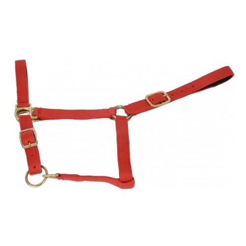 Met suède gevoerde halster TdeT