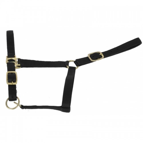 Cavezza foderata in pelle scamosciata...