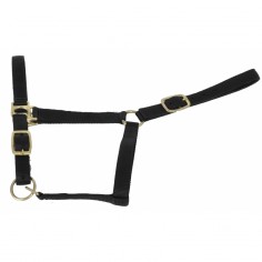 Licol doublé Suédine TdeT