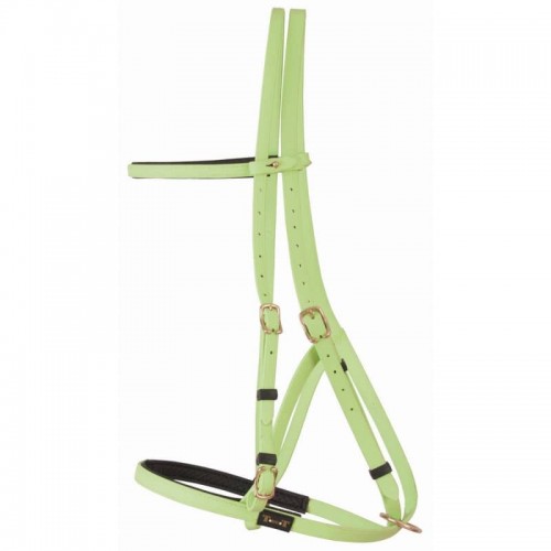 Bridle halter Biotack TdeT Bridle halter Biotack TdeT
