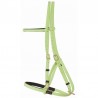 Bridle halter Biotack TdeT
