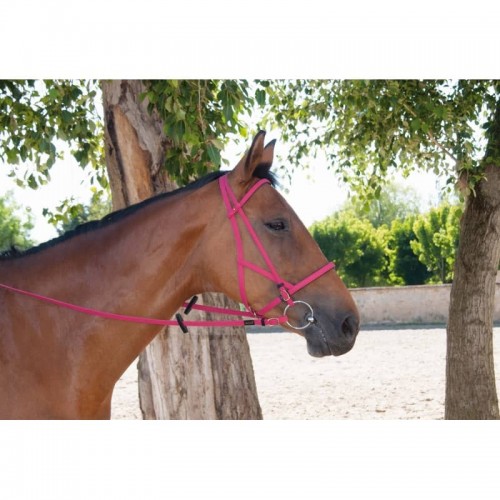 Bridle halter Biotack TdeT Bridle halter Biotack TdeT