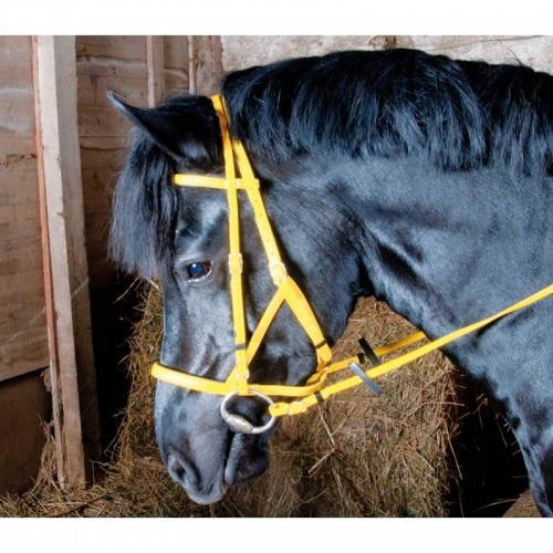 Bridle halter Biotack TdeT Bridle halter Biotack TdeT