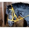 Bridle halter Biotack TdeT