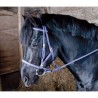 Bridle halter Biotack TdeT