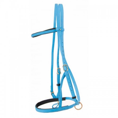 Bridle halter Biotack TdeT Bridle halter Biotack TdeT