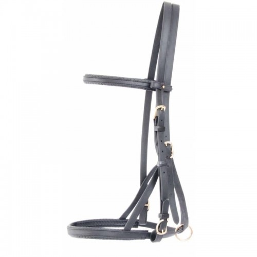 Bridle halter Biotack TdeT Bridle halter Biotack TdeT