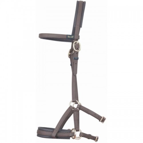 Sidepull Biotack TdeT