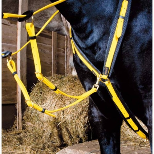 Collar de caza Biotack® TdeT