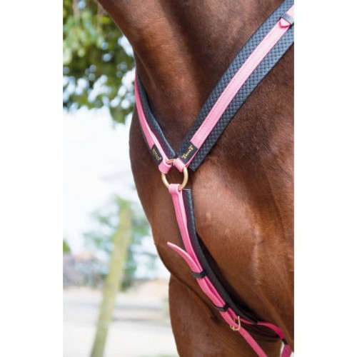 Collar de caza Biotack® TdeT