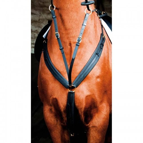 Collier de chasse Biotack® TdeT