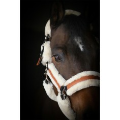 Bridle Pénélope Soft