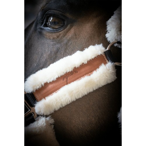 Bridle Pénélope Soft Bridle Pénélope Soft
