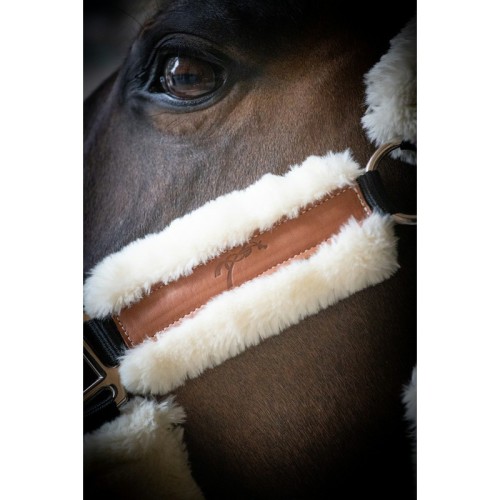 Bridle Pénélope Soft Bridle Pénélope Soft