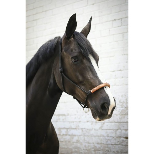 Imbracatura etologica americana Penelope Imbracatura etologica americana Penelope