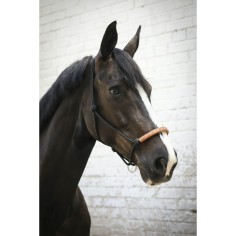 Imbracatura etologica americana Penelope