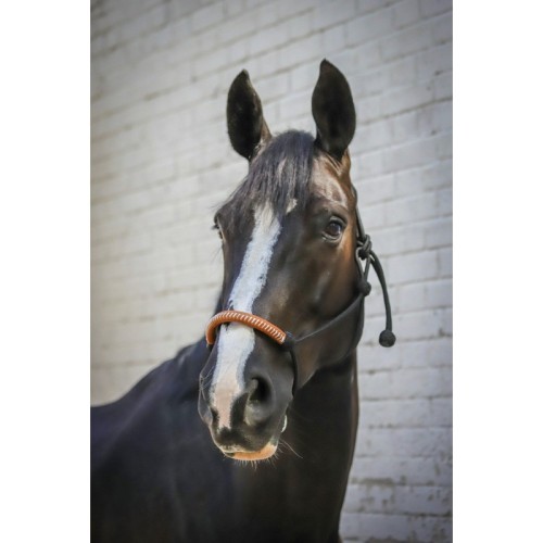 Penelope Amerikaans ethologisch halster